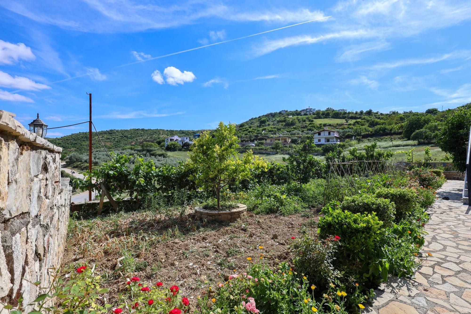 Villa Xherimeja Family Oasis Berat Zewnętrze zdjęcie