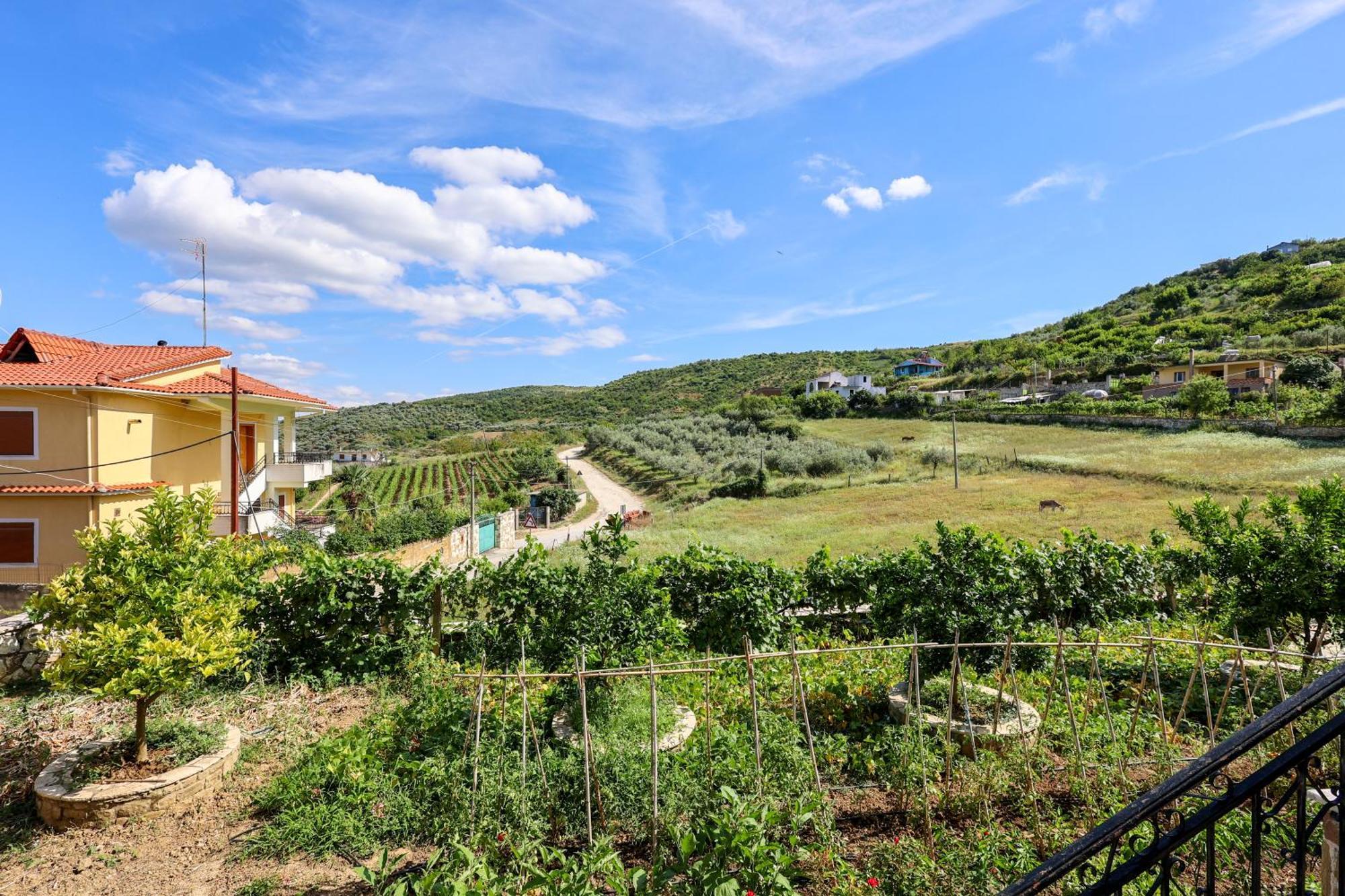 Villa Xherimeja Family Oasis Berat Zewnętrze zdjęcie